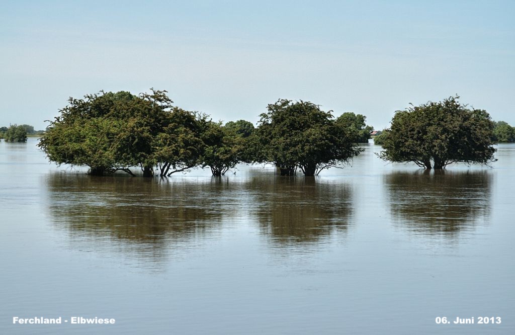 Hochwasser- 2013_06_06-017-Ferchland.jpg